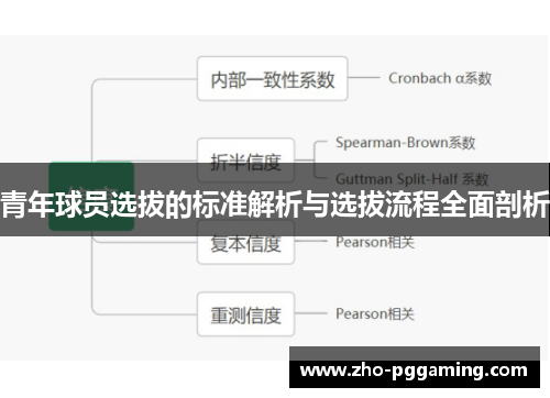 青年球员选拔的标准解析与选拔流程全面剖析