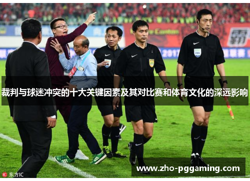 裁判与球迷冲突的十大关键因素及其对比赛和体育文化的深远影响