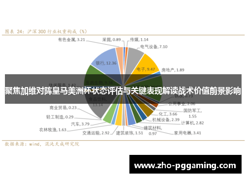 聚焦加维对阵皇马美洲杯状态评估与关键表现解读战术价值前景影响