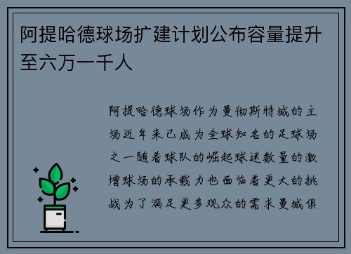 阿提哈德球场扩建计划公布容量提升至六万一千人